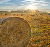 fileadmin/roha/images_galerie/Hintergrund-Download/1600x1200/SON-AU-SAAL-BRUEN-0001-0619-D-M-roha-Sonnenaufgang-Saaldorf-Bruennthal.png