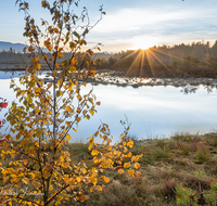 fileadmin/roha/images_galerie/stimmung-Sonne/Sonnenuntergang/SON-UN-SCHOEN-0003-1633-D-roha-Sonnenuntergang-Schoenrammer-Moor-See-Wasser.png