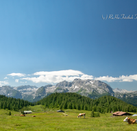 fileadmin/roha/images_galerie/Hintergrund-Download/1600x1200/BGD-JENN-GOTZ-0003-D-roha-Berchtesgaden-Jenner-Gotzen-Alm-Kuh-Steinernes-Meer.png