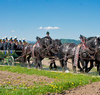 fileadmin/roha/images_galerie/brauchtum/Leonhardiritt/Holzhausen_01/BR-PFRI-HOLZ-0081-D-roha-Brauchtum-Pferdeumritt-Holzhausen-Teisendorf-Leonhardiritt-Pferd-Furhwerk-Bergknappenkapelle.png