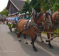 fileadmin/roha/images_galerie/brauchtum/Leonhardiritt/Holzhausen_01/BR-PFRI-HOLZ-0206-D-roha-Brauchtum-Pferdeumritt-Holzhausen-Teisendorf-Leonhardiritt-Pferd-Gespann-Trachtler.png