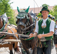 fileadmin/roha/images_galerie/brauchtum/Leonhardiritt/Holzhausen_01/Holzhausen-Ritt-2019/BR-PFRI-HOLZ-2019-1042-01-D-roha-Brauchtum-Pferdeumritt-Leonhardiritt-Holzhausen-Teisendorf-Pferd-Gespann.png