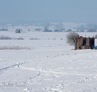 fileadmin/roha/images_galerie/orte_landschaft/Haarmoos/HAARM-WI-0034-D-roha-Dorfen-Laufen-Saaldorf-Haarmoos-Winter-Stadel.png