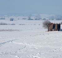 fileadmin/roha/images_galerie/orte_landschaft/Haarmoos/HAARM-WI-0034-D-roha-Dorfen-Laufen-Saaldorf-Haarmoos-Winter-Stadel.png