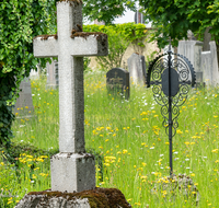 fileadmin/roha/images_galerie/orte_landschaft/Laufen/Klosterfriedhof/LAUF-KAPUZ-KI-0014-D-roha-Laufen-Kapuzinerkloster-Friedhof-Blumenwiese.png