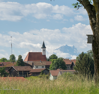 fileadmin/roha/images_galerie/orte_landschaft/Abtsdorf-Abtsdorfer-See/ABTS-0001-20-D-roha-Abtsdorf-Baum-Watzmann.png