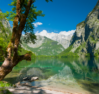 fileadmin/roha/images_galerie/orte_landschaft/Berchtesgaden/Koenigssee/BGD-KOE-OBERS-0019-D-roha-Berchtesgaden-Obersee-Koenigsee-Wasser-Spiegelung.png