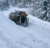 fileadmin/roha/images_galerie/Landwirtschaft/Forst-Holzknecht/HOLZKNE-HAM-0015-1408-00486-D-roha-Holzknecht-Schlitten-Winter-Siegsdorf-Hammer-Winterzug.png