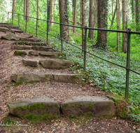 fileadmin/roha/images_galerie/wege/WEGE-AINR-0003-03-D-roha-Weg-Stufe-Kreuzweg-Wald-Handlauf-Ainring.png