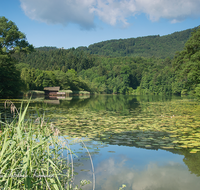 fileadmin/roha/images_galerie/orte_landschaft/Anger/Hoeglwoerth/AN-HOE-0054-8-5-D-roha-Anger-Hoeglwoerth-Wasser-See-Rose.png