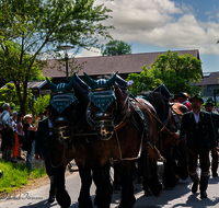 fileadmin/roha/images_galerie/brauchtum/Leonhardiritt/Holzhausen_01/Holzhausen-Ritt-2023/BR-PFRI-HOLZ-2023-1010-02-1-1-D-H-roha-Brauchtum-Leonhardiritt-Holzhausen-Teisendorf.png