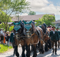 fileadmin/roha/images_galerie/brauchtum/Leonhardiritt/Holzhausen_01/Holzhausen-Ritt-2023/BR-PFRI-HOLZ-2023-1010-02-1-1-D-H-roha-Brauchtum-Leonhardiritt-Holzhausen-Teisendorf.png