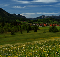 fileadmin/roha/images_galerie/orte_landschaft/Inzell/INZ-0132-D-roha-Inzell-Panorama-Blumenwiese.png