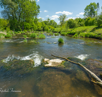 fileadmin/roha/images_galerie/orte_landschaft/Saaldorf/LANDS-SAAL-SURH-SUR-0004-D-roha-Landschaft-Saaldorf-Surheim-Sur-Wasser-Fluss.png