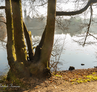 fileadmin/roha/images_galerie/orte_landschaft/Anger/Hoeglwoerth/AN-HOE-0051-0-09-D-roha-Anger-Hoeglwoerth-See-Wasser-Herbst.png