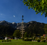 fileadmin/roha/images_galerie/orte_landschaft/Bayerisch-Gmain/BR-MAIB-BAY-GMAI-0001-D-roha-Brauchtum-Maibaum-Bayerisch-Gmain.png