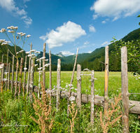 fileadmin/roha/images_galerie/orte_landschaft/Ruhpolding/LANDA-ZAUN-RUH-BIATH-0002-D-roha-Landart-Zaun-Hanichen-Ruhpolding-Biathlonzentrum.png