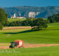 fileadmin/roha/images_galerie/Landwirtschaft/LANDW-MASCH-ULR-0004-D-roha-Landwirtschaft-Feldarbeit-Traktor-Getreide-Ainring-Ulrichshoegl.png