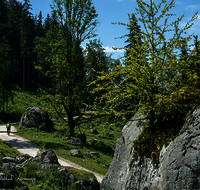 fileadmin/roha/images_galerie/Freizeit-Sport/Mountainbike-Radfahren/SPO-MOUN-GOTZ-0001-D-roha-Sport-Mountainbike-Gotzenalm-Weg-Natur.png