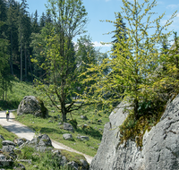 fileadmin/roha/images_galerie/Freizeit-Sport/Mountainbike-Radfahren/SPO-MOUN-GOTZ-0001-D-roha-Sport-Mountainbike-Gotzenalm-Weg-Natur.png