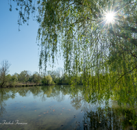 fileadmin/roha/images_galerie/stimmung-Sonne/TEI-EISW-0008-D-roha-Teisendorf-Eisweiher-Wieninger-Sonne.png