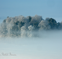 fileadmin/roha/images_galerie/Winter/WINT-HAARM-0013-D-roha-Winter-Haarmoos-Schnee-Rauhreif-Nebel.png