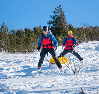 fileadmin/roha/images_galerie/Bergwacht/BERGW-UEB-PRED-2020-1503-03-D-roha-Bergwacht-Uebung-Predigtstuhl-Akja-Winter.png