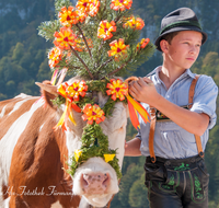 fileadmin/roha/images_galerie/brauchtum/Almabtrieb/Almabtrieb-Koenigssee/BR-ALMAB-BGD-2015-1106-01-D-roha-Brauchtum-Almabtrieb-Koenigssee-Salet-Schoenau-Fuikl.png