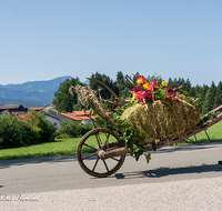 fileadmin/roha/images_galerie/orte_landschaft/Teisendorf/Neukirchen/Trachtenfest-Neukirchen-2019/BR-FEST-NEUK-TRACH-2019-08-11-1205-03-D-roha-Brauchtum-Fest-Neukirchen-Trachtenverein-Festzug.png