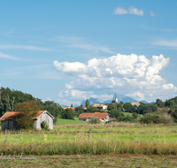 fileadmin/roha/images_galerie/orte_landschaft/Haarmoos/HAARM-0048-03-D-roha-Abtsdorf-Laufen-Haarmoos-Stadel-Saaldorf.png