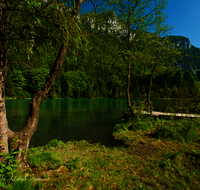 fileadmin/roha/images_galerie/orte_landschaft/Inzell/INZ-FALKS-0001-D-roha-Inzell-Falkensee-Wasser-See-Steg-Bank.png