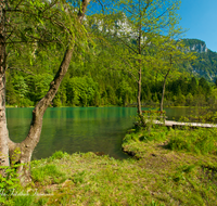 fileadmin/roha/images_galerie/orte_landschaft/Inzell/INZ-FALKS-0001-D-roha-Inzell-Falkensee-Wasser-See-Steg-Bank.png