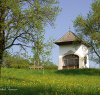 fileadmin/roha/images_galerie/kirche_religion/Ainring/KKKM-AINR-MEIST-0022-D-roha-Kapelle-Airning-Meisterkapelle-Fruehling.png