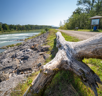 fileadmin/roha/images_galerie/orte_landschaft/Laufen/LAUF-SALZA-SOHL-0012-D-roha-Laufen-Salzach-Sohlschwelle-Dammweg-Schwemmholz.png