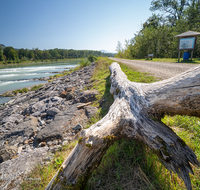 fileadmin/roha/images_galerie/orte_landschaft/Laufen/LAUF-SALZA-SOHL-0012-D-roha-Laufen-Salzach-Sohlschwelle-Dammweg-Schwemmholz.png