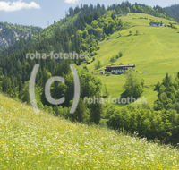 fileadmin/roha/images_galerie/orte_landschaft/Lofer-Kirchental-Wildenthal-Unken/LOFER-WILDENTH-0001-02-D-roha-Lofer-Wildental-Landwirtschaft-Blumenwiese.jpg