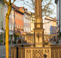 fileadmin/roha/images_galerie/orte_landschaft/Teisendorf/Teisendorf-Markt/TEI-MA-BRUN-0006-6-D-roha-Teisendorf-Marktstrasse-Brunnen-Maria-Immaculata.png