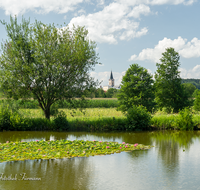 fileadmin/roha/images_galerie/orte_landschaft/Teisendorf/TEI-SUED-OST-0053-D-roha-Teisendorf-Sued-Ost-Weiher-Seerose-Kirche.png