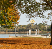 fileadmin/roha/images_galerie/orte_landschaft/Waging/WAG-STRANDK-0015-D-roha-Waging-Strandkurhaus-Park-Herbst-Pavillon.png