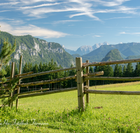 fileadmin/roha/images_galerie/orte_landschaft/Inzell/INZ-BAECK-ALM-0014-D-roha-Inzell-Baeckeralm-Zaun-Bergpanorama.png