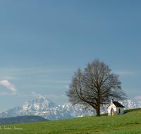 fileadmin/roha/images_galerie/Hintergrund-Download/1280x1024/KKKM-SAALD-SILL-0041-D-roha-Kapelle-Saaldorf-Sillersdorf-Hochstaufen-Zwiesel.png