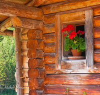 fileadmin/roha/images_galerie/Fenster-Tueren/LANDA-FENST-0004-01-D-roha-Landart-Fenster-Alm-Blumen-Geranien-Reiteralm-Weissbach.png