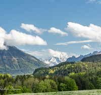 fileadmin/roha/images_galerie/orte_landschaft/Ainring/LANDS-AIN-UL-0004-D-roha-Landschaft-Ainring-Ulrichshoegl-Watzmann-Lattengebirge.png