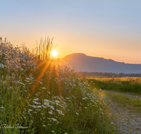 fileadmin/roha/images_galerie/stimmung-Sonne/Sonnenaufgang/SON-AU-SAAL-LEU-0001-00538-D-M-roha-Sonnenaufgang-Saaldorf-Leustetten.png