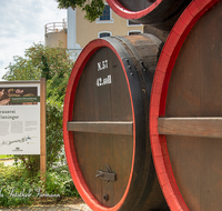 fileadmin/roha/images_galerie/orte_landschaft/Teisendorf/Teisendorf-Markt/TEI-DETAIL-WIEN-0009-D-roha-Teisendorf-Wieninger-Bier-Fass-Brauerei.png