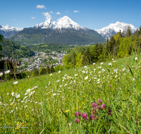 fileadmin/roha/images_galerie/orte_landschaft/Berchtesgaden/Markt-Berchtesgaden/BGD-0011-05-D-roha-Berchtesgaden-Watzmann-Blumenwiese-Fruehling.png