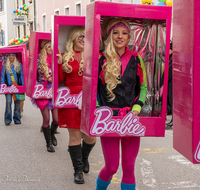 fileadmin/roha/images_galerie/brauchtum/Fasching/BR-FASCHI-MA-ZU-2019-1511-01-D-roha-Brauchtum-Fasching-Teisendorf-Marktstrasse.png