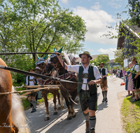 fileadmin/roha/images_galerie/brauchtum/Leonhardiritt/Holzhausen_01/Holzhausen-Ritt-2023/BR-PFRI-HOLZ-2023-1020-21-D-H-roha-Brauchtum-Leonhardiritt-Holzhausen-Teisendorf.png