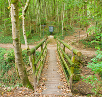 fileadmin/roha/images_galerie/wege/KKKM-AINR-KR-03-0012-1-D-roha-Kreuzweg-Ainring-Kirche-Wald-Steg-Herbst.png