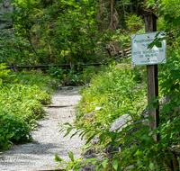 fileadmin/roha/images_galerie/Baum-natur-garten/Natur-Wildblumen-Landschaft/PID-BERGBL-0003-D-roha-Piding-Bergblumen-Garten-Schild-Weg.png